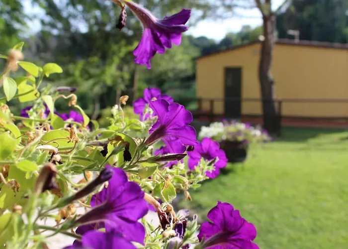 Bed & Breakfast Il Gelso Nero